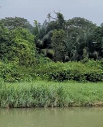 Waterfront @ Faber (D5), Apartment #478298051